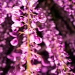 新しいブログテーマとビジョン